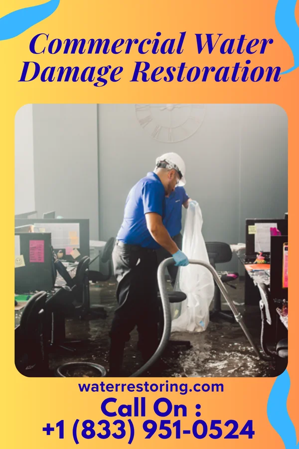 Commercial Water Damage Restoration in El Chaparral, TX