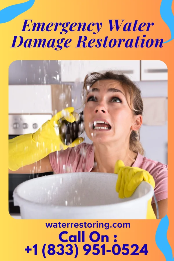 Emergency Water Damage Restoration in El Chaparral, TX