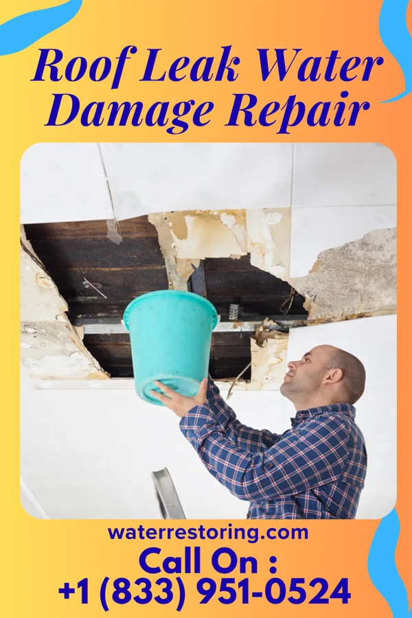 Roof Leak Water Damage Repair in El Chaparral, TX